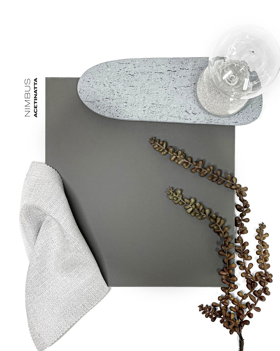 ENCANTO-Nimbus Acetinatta.png