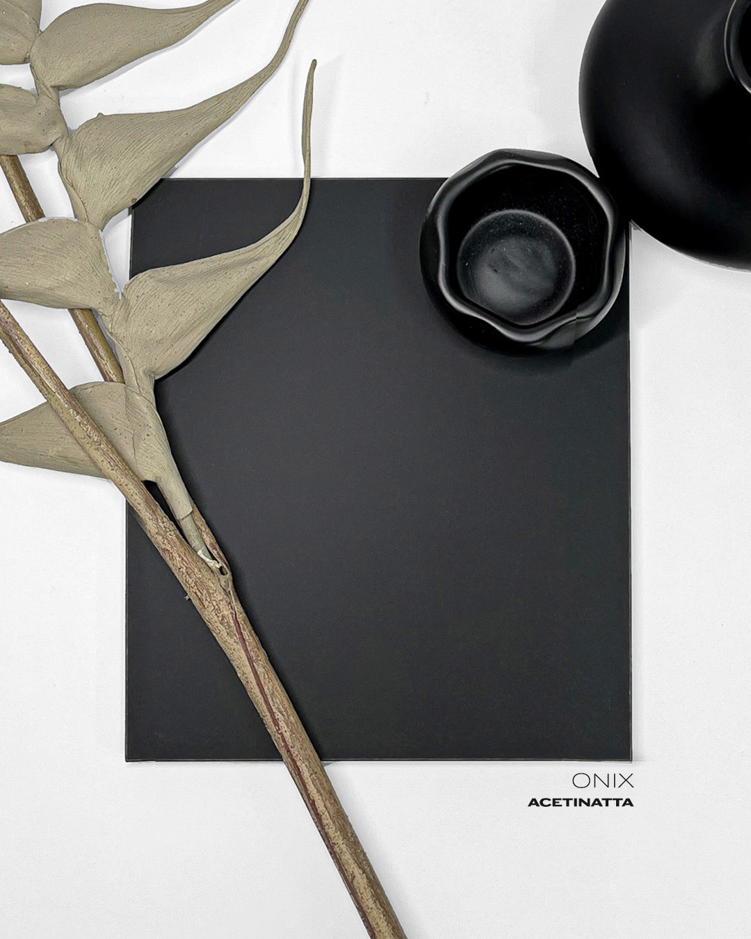 ENCANTO-Onix Acetinatta.png